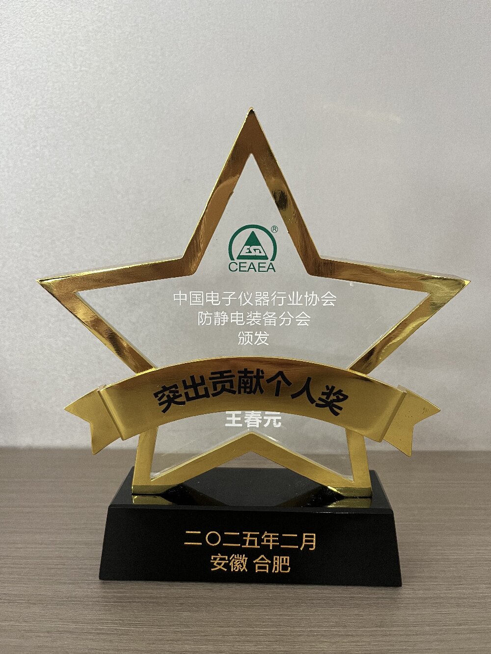 突出貢獻個人獎